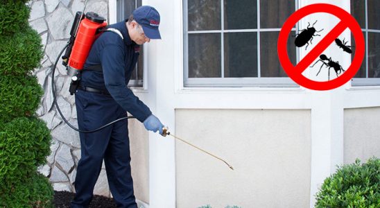 Kadirli Kene İlaçlama böcek ilaçlama ve haşere kontrolü — ilaclama-tr.com